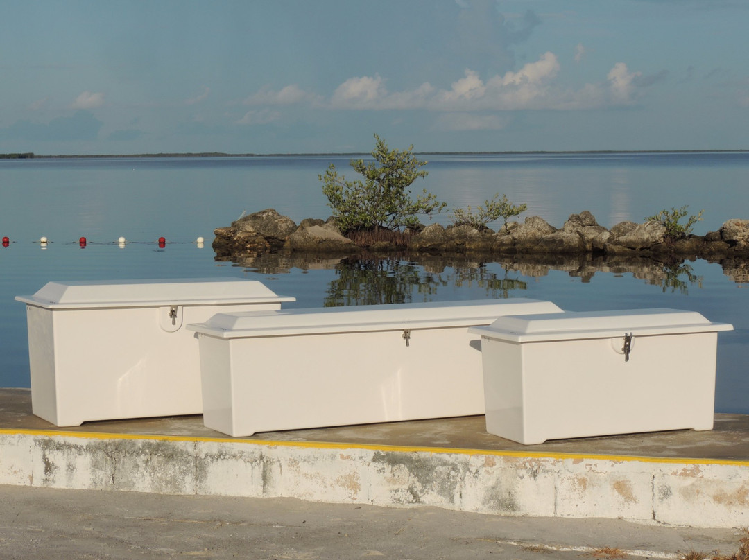 Tiki Water Sports-Tavernier必去景点