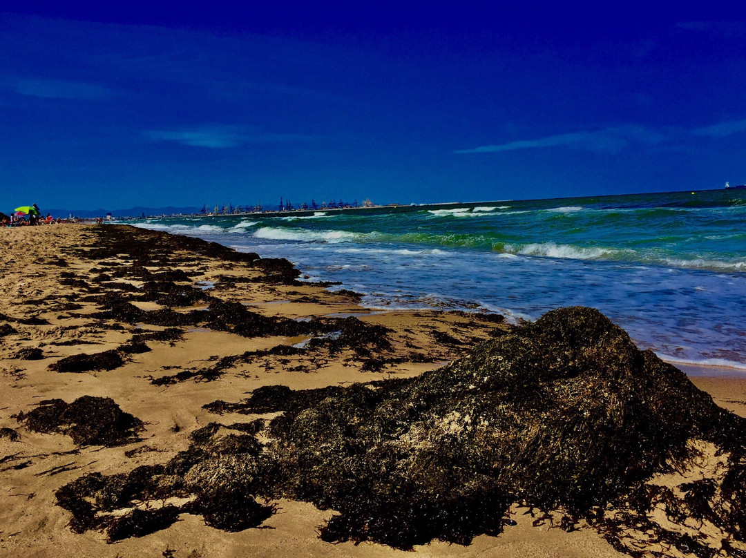 El Saler旅游景点-La Dehesa del Saler