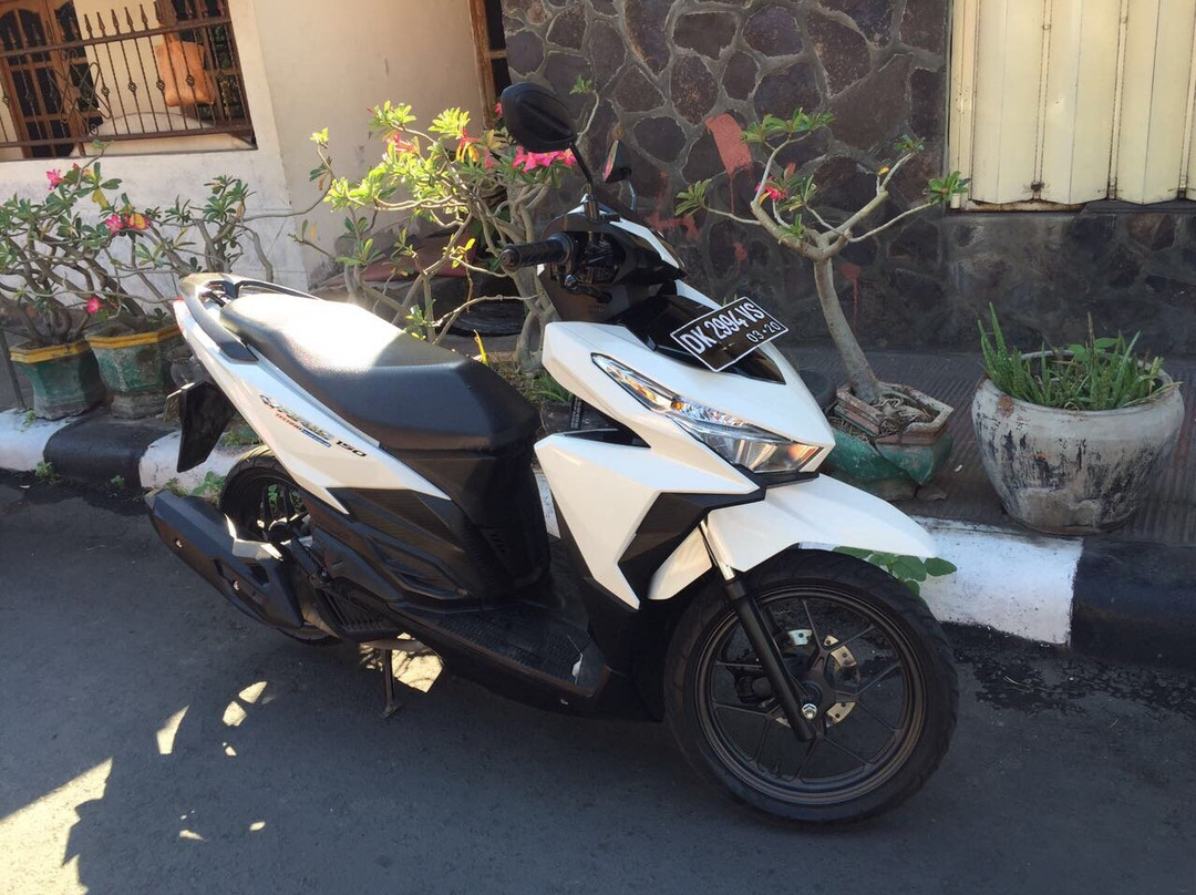 Bali Bali Bike Rental景点图片