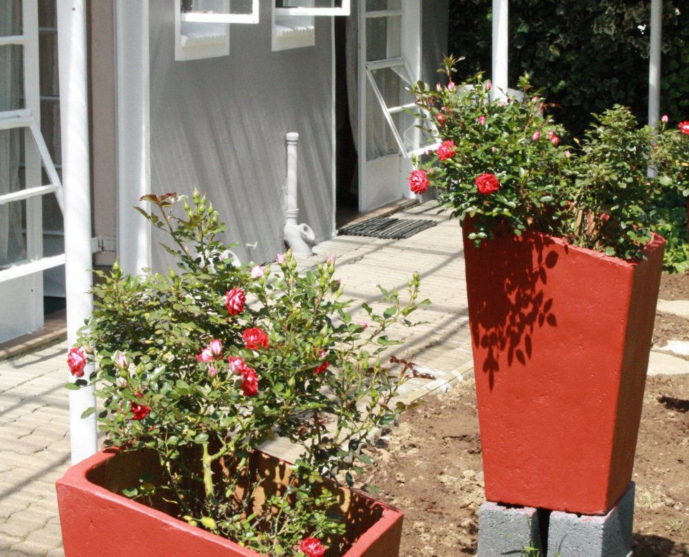 Volksrust酒店住宿-Marlene's Guesthouse