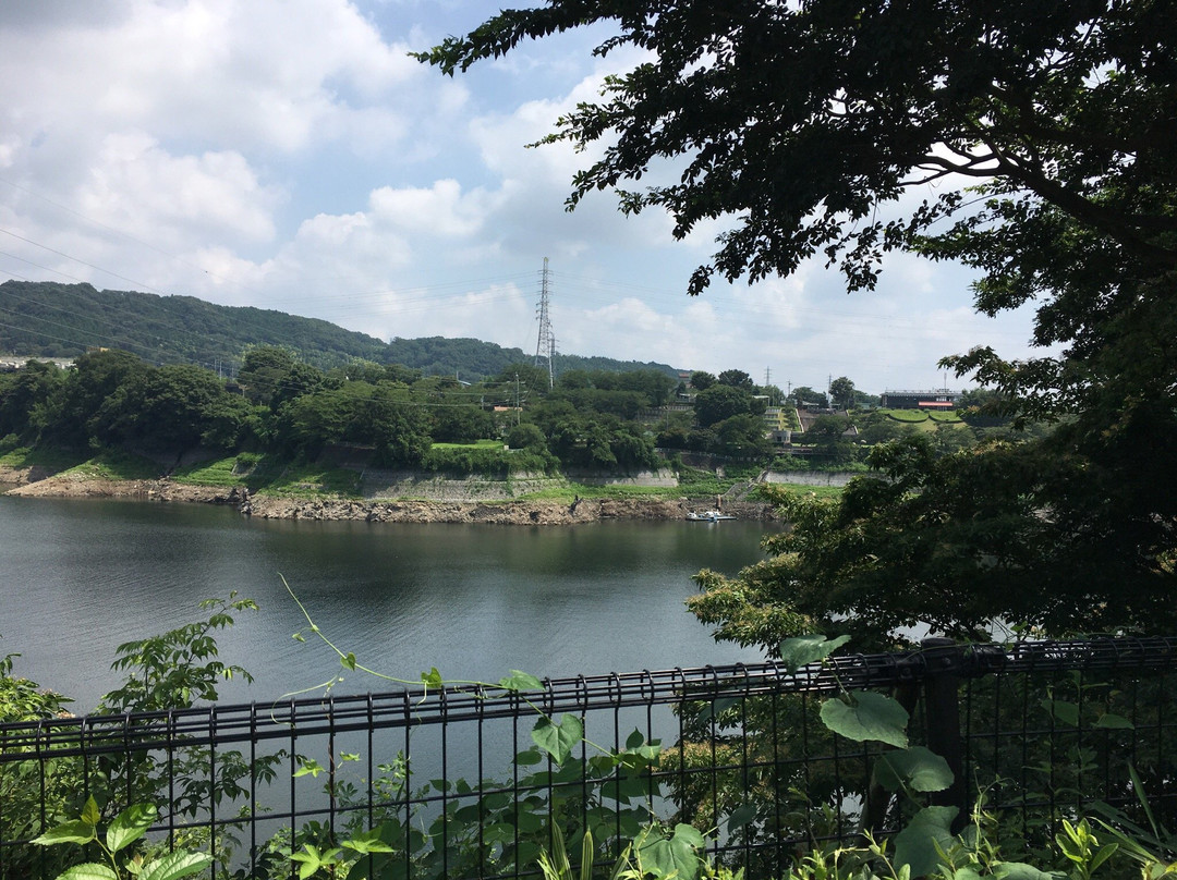 Kanagawa Prefectural Lake Tsukui Shiroyama Park, Water Garden, Flower Garden-相模原市必去景点