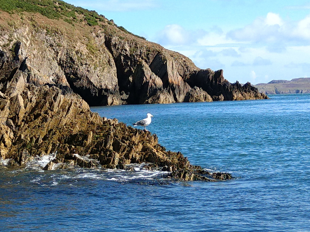 Aquaphobia Ramsey Island Power Boats-St. Davids必去景点