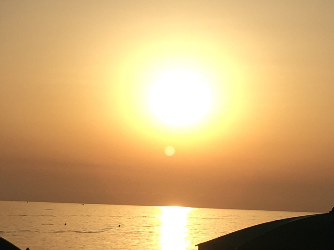 Lido Olgarino