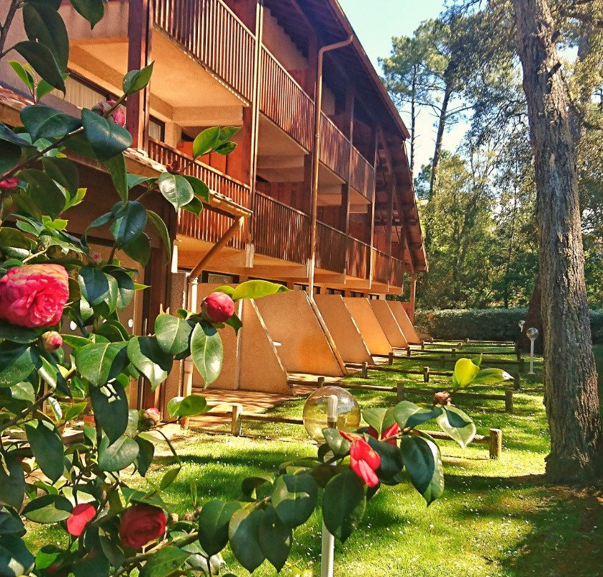 Residence Hoteliere Les Acanthes主图