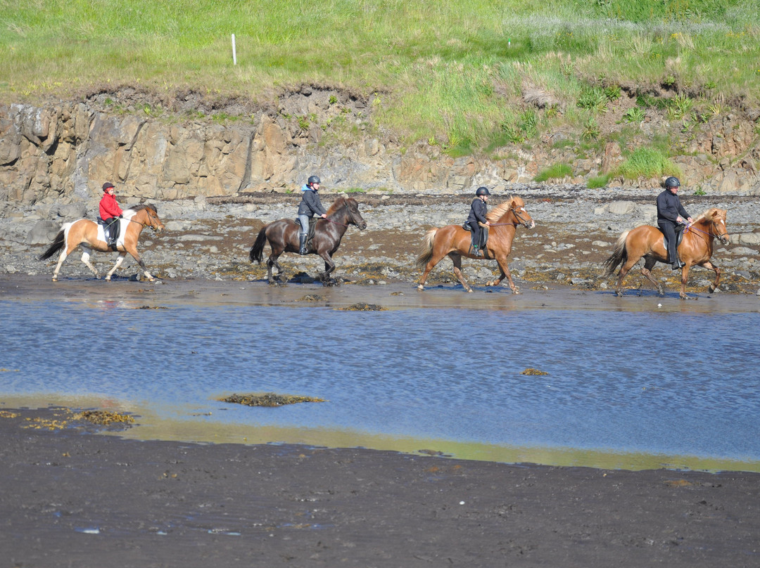 Dalahestar-布扎达吕尔必去景点