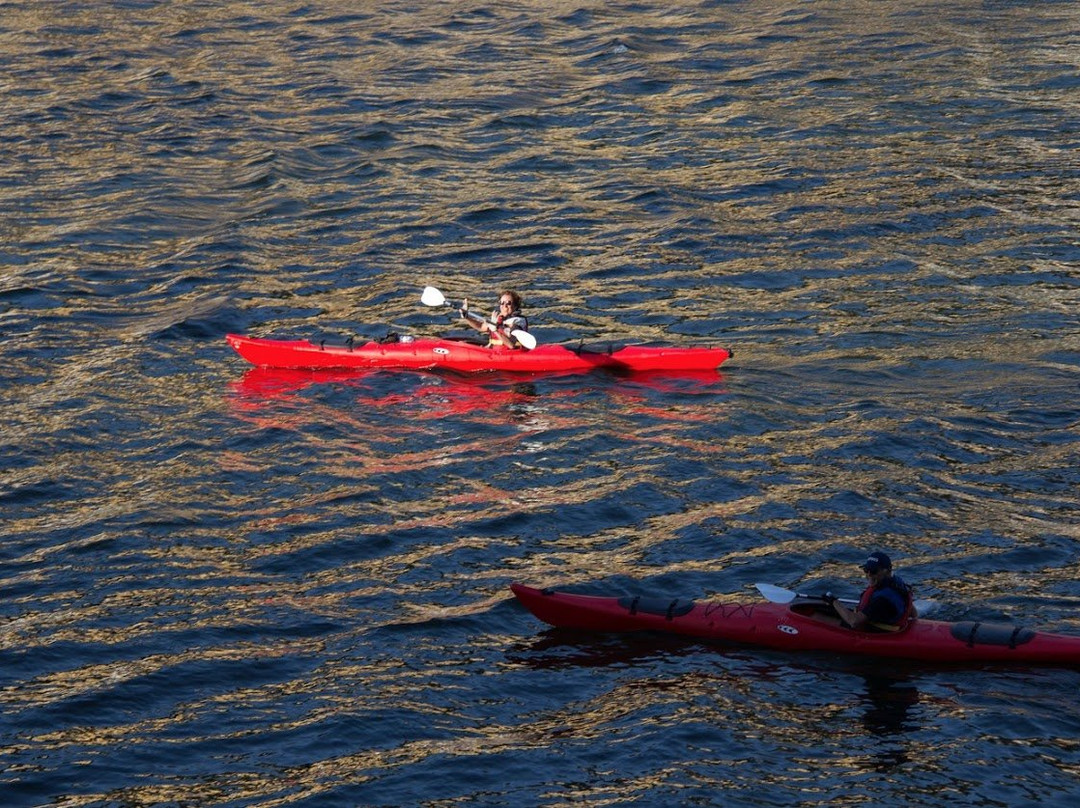 Portugal Kayak-阿威罗必去景点
