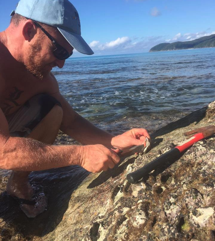 Hinchinbrook Adventures-Ingham必去景点