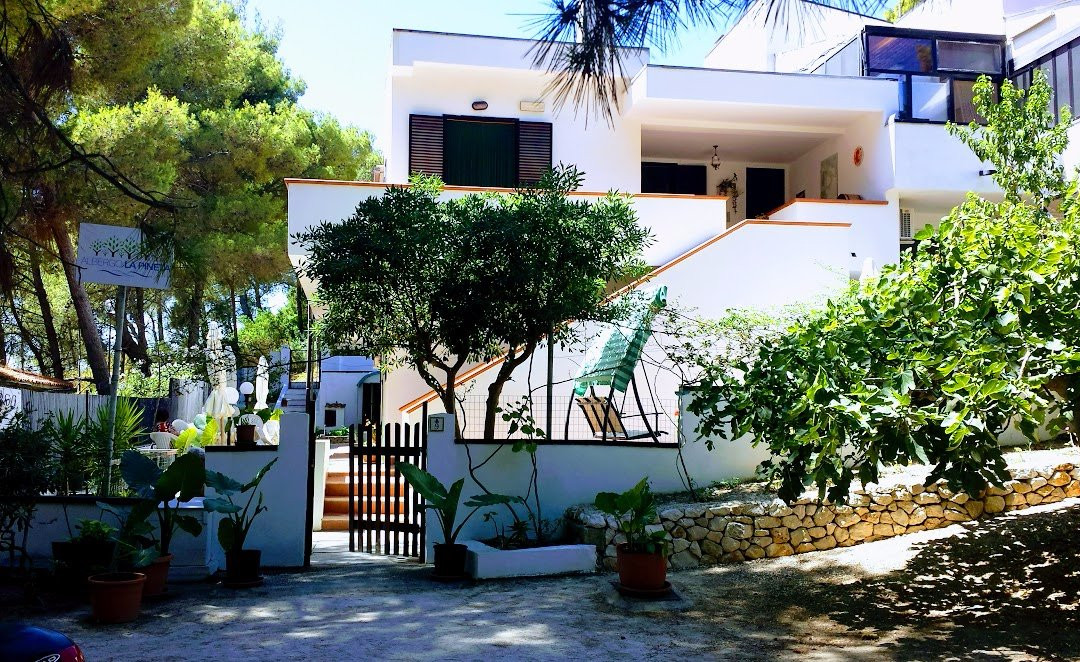 San Domino酒店住宿-Albergo La Pineta
