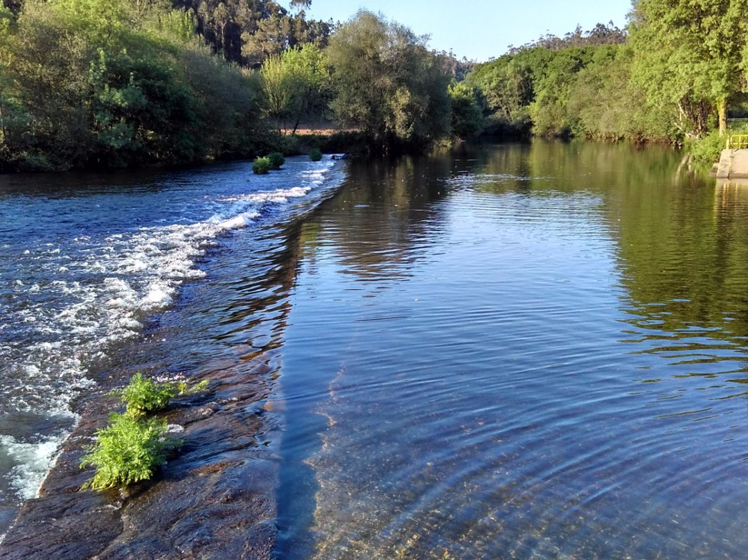 Playa Fluvial de Tapia景点图片