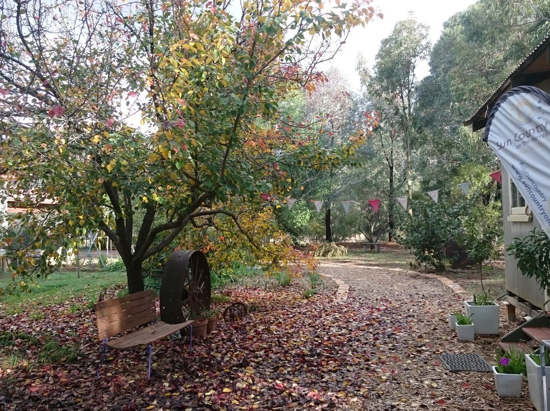 Katamatite Garlic-Katamatite必去景点