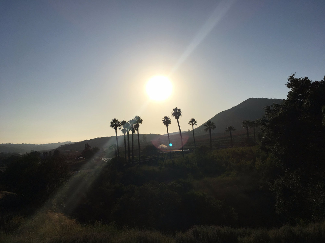 Keys Creek Lavender Farm-瓦利森特必去景点