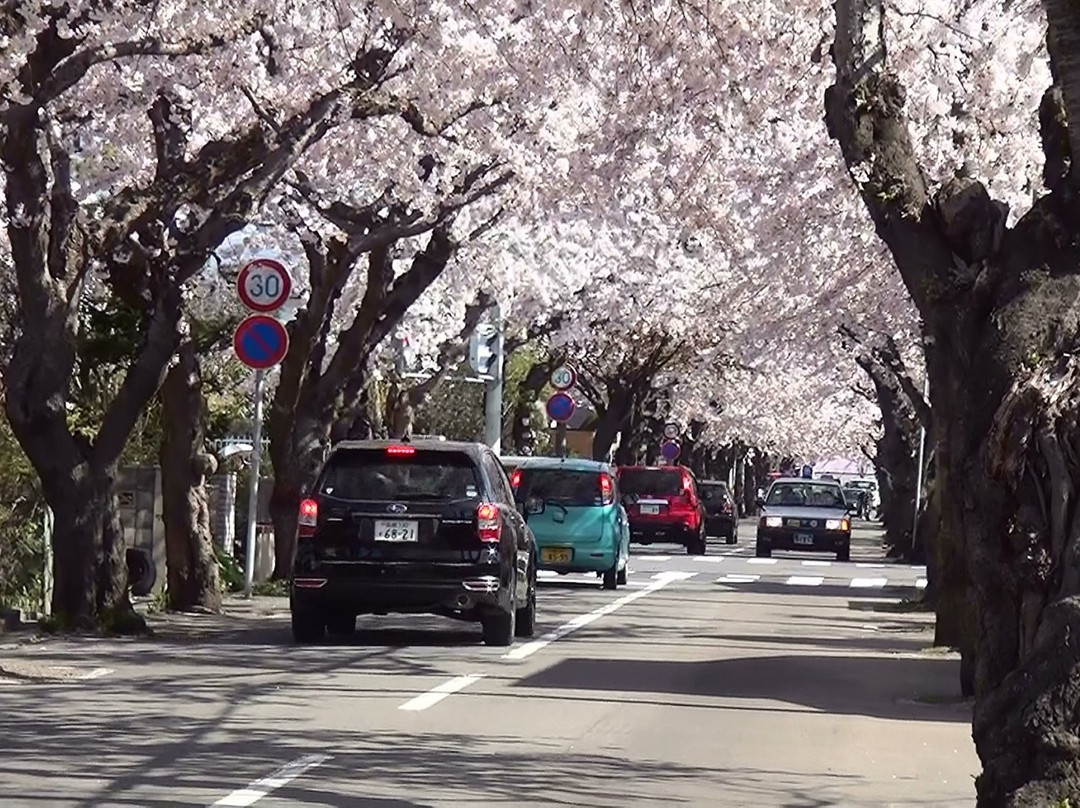 Sakuragaoka St.-函馆市必去景点