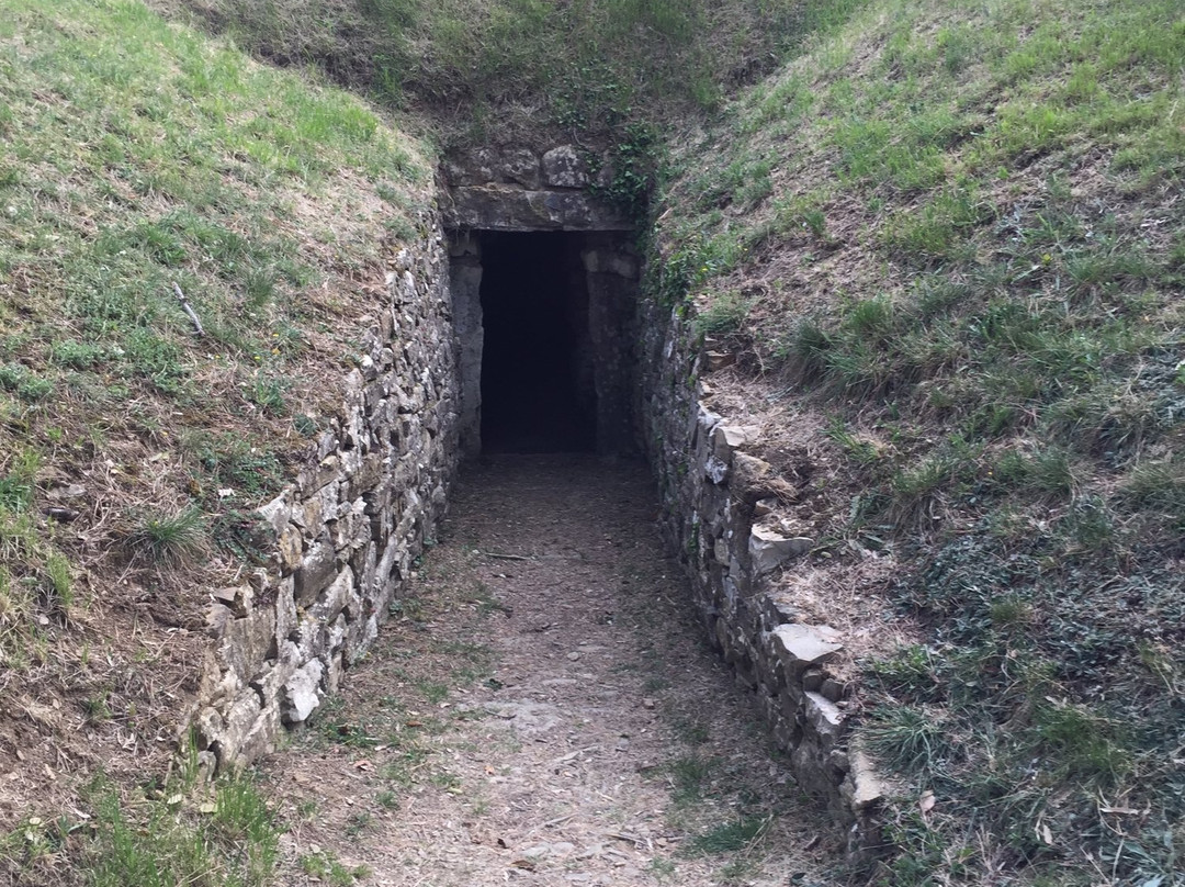 Tombe Etrusche a Montecalvario-卡斯特利纳－因基安蒂必去景点