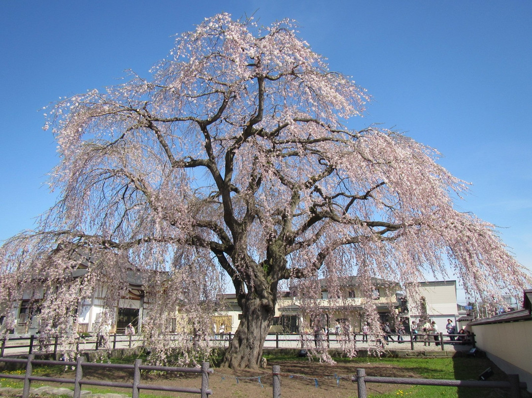Houkiji Temple-北斗市必去景点