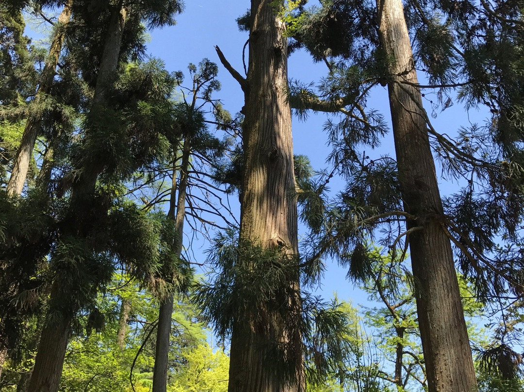 天姥山-新昌县必去景点