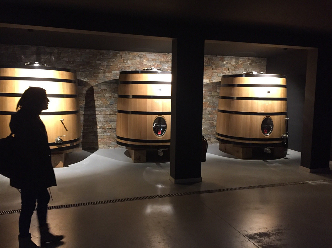 Bodegas Proyecto Unsi-Olite必去景点