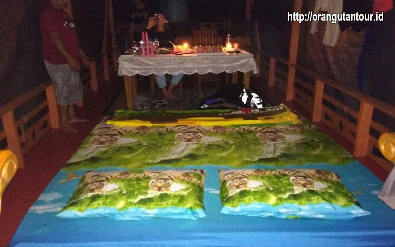 Orangutantour-Kumai必去景点