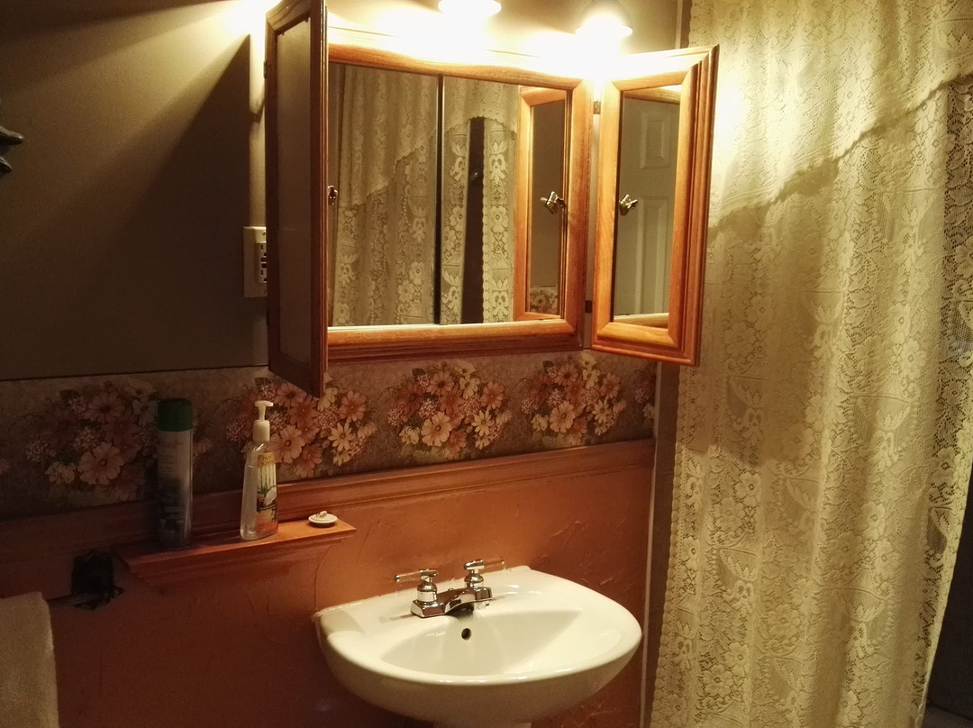 Oasis du Vieux Longueuil主图