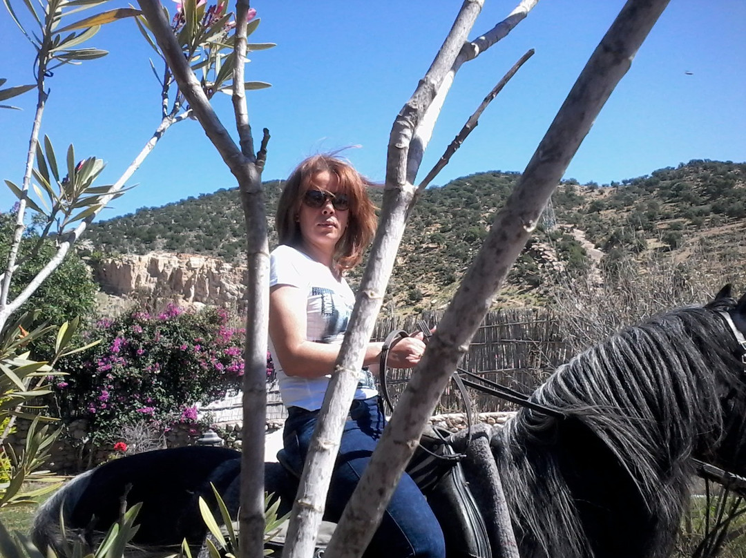 Equitation Ranchacienda-奥瑞尔必去景点