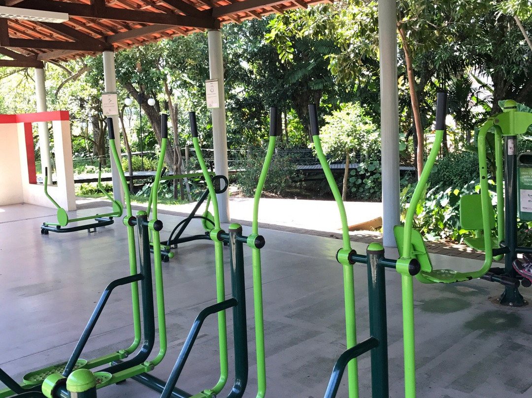 Parque da Cidade景点图片