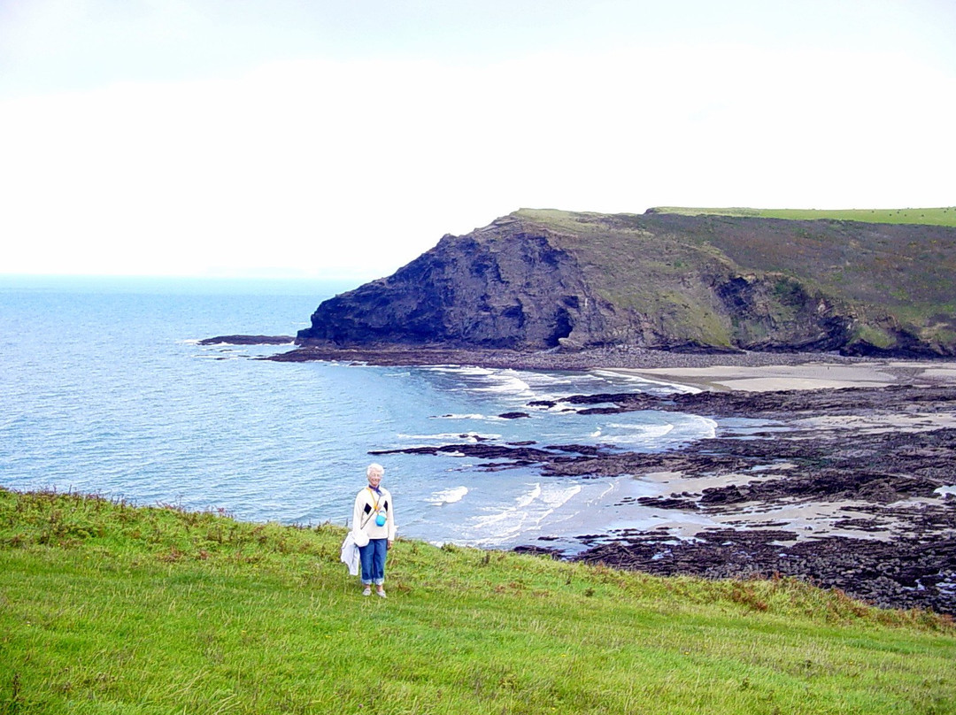 Crackington Haven旅游攻略图片
