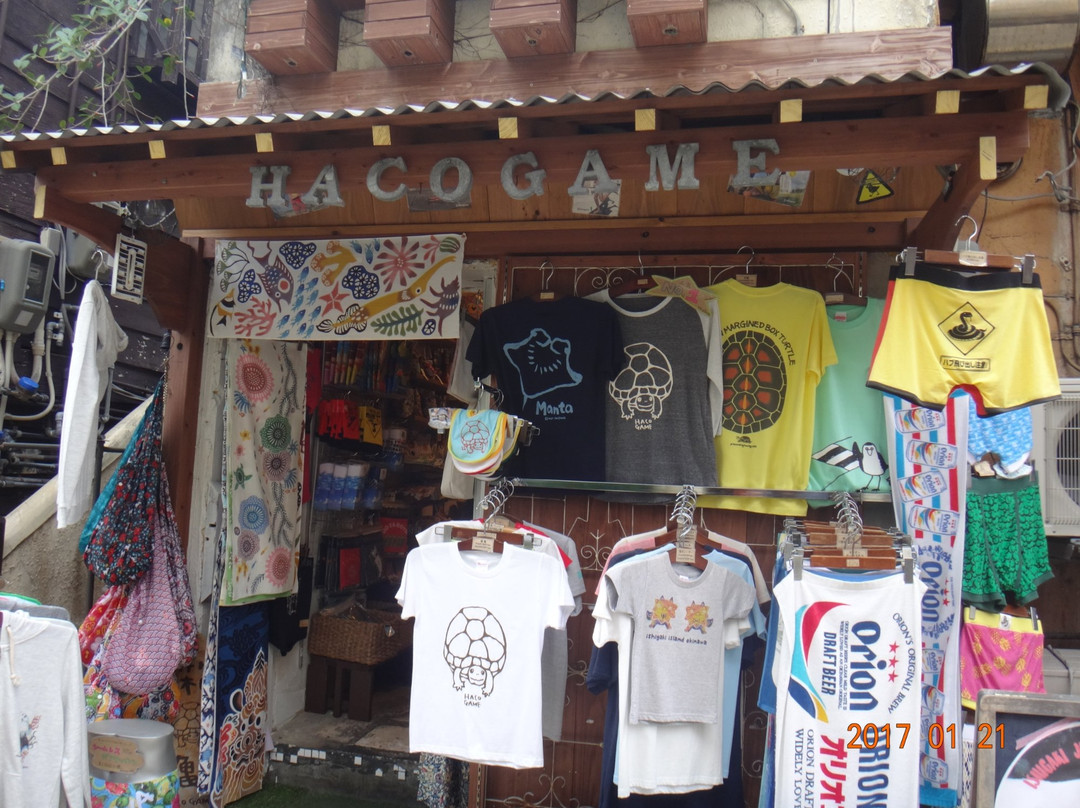 Hacogame景点图片