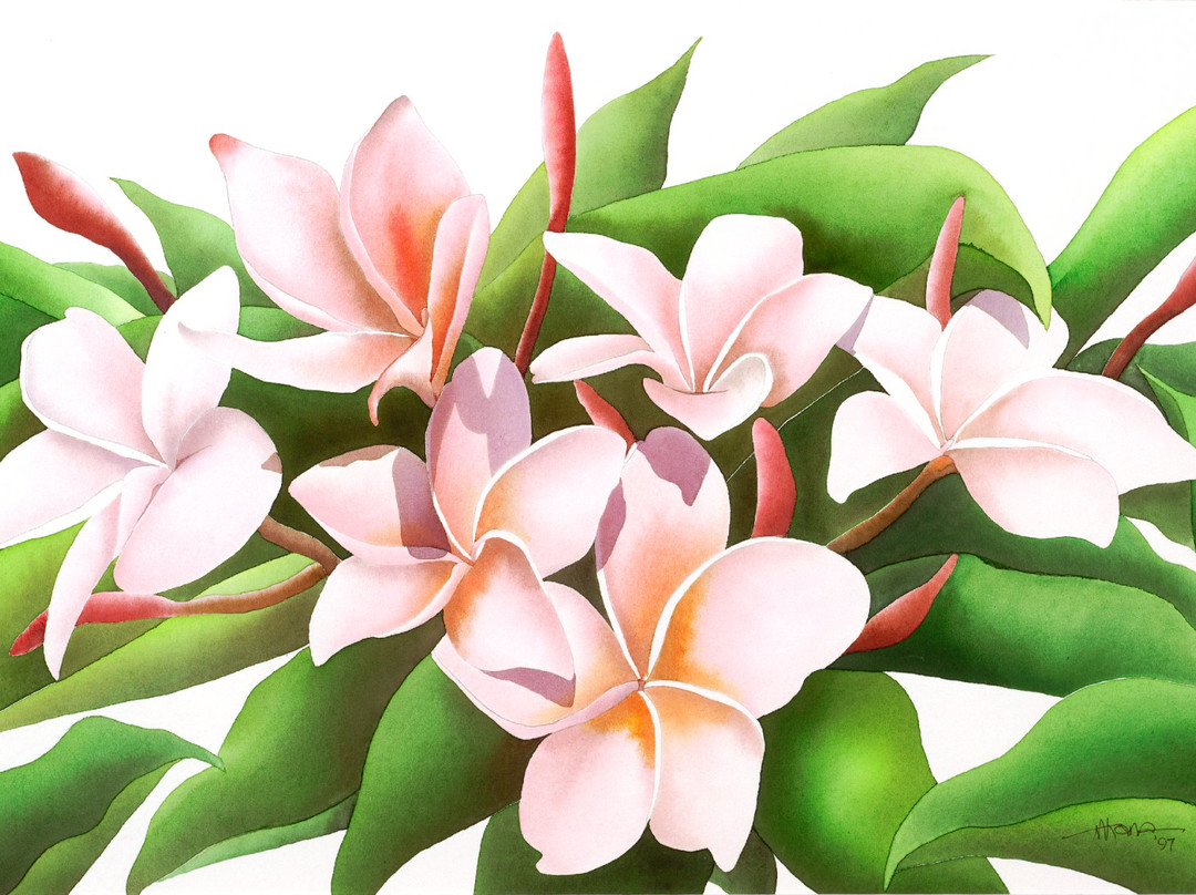 Alan Akana Gallery-可洛亚必去景点