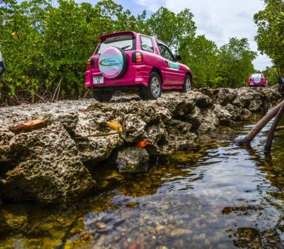 ZanTours Ltd-桑给巴尔市必去景点