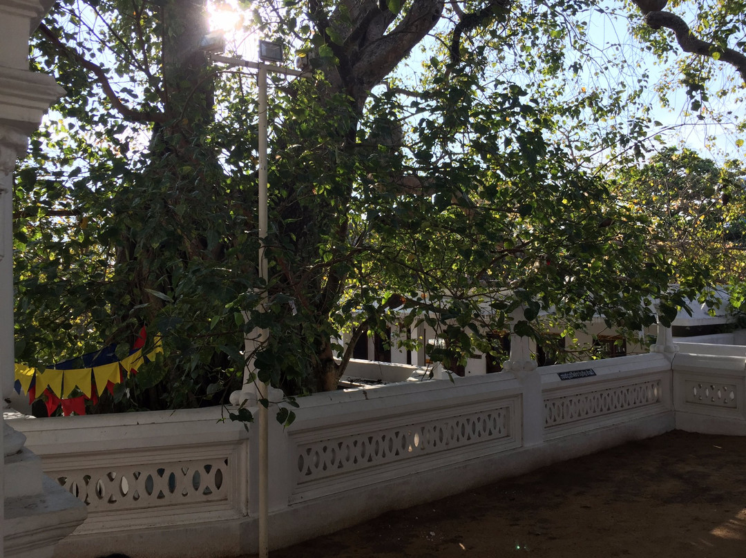 Rankoth Viharaya-Panadura必去景点