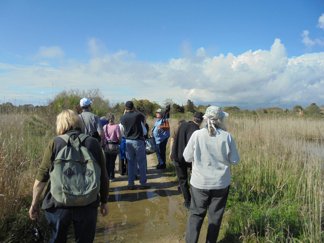 Cape May Bird Observatory-Cape May Point必去景点