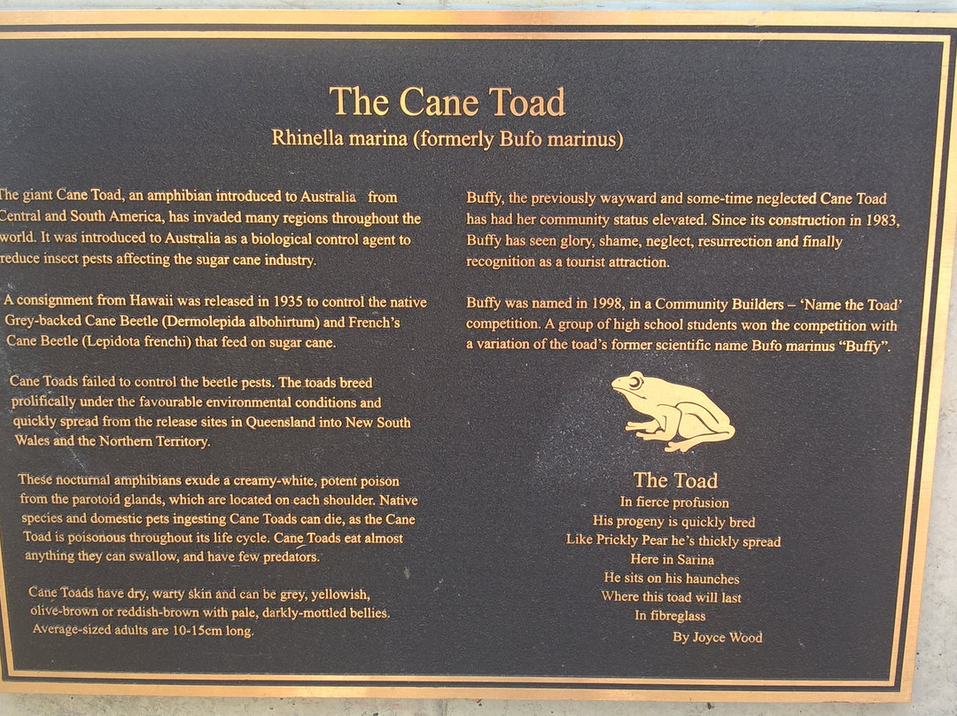 Big Cane Toad景点图片