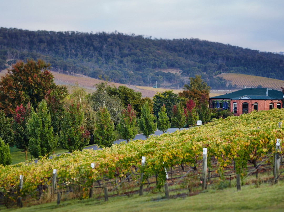 De Bortoli Winery景点图片