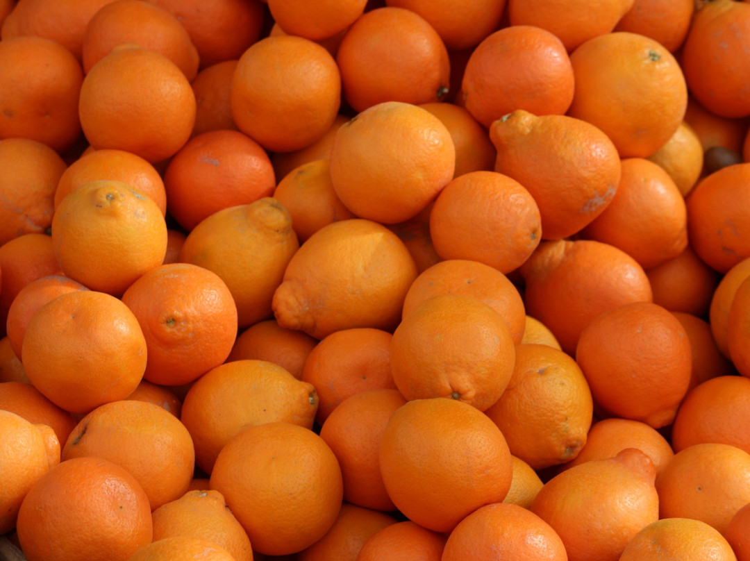 Yuma Swap Meet-尤马必去景点