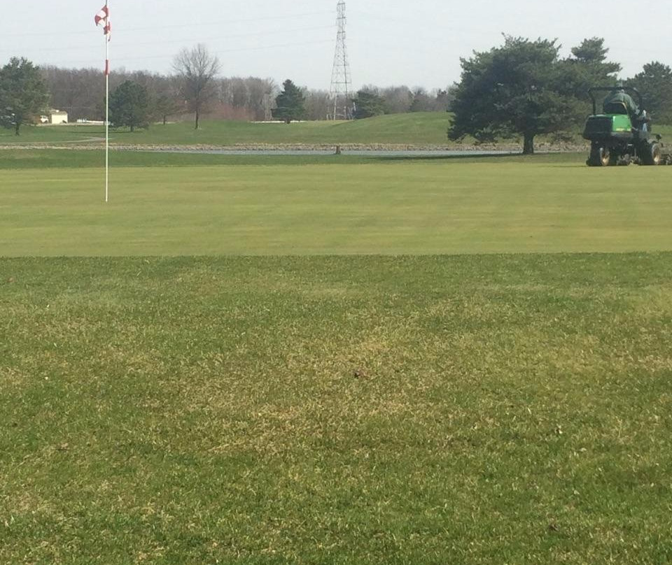 Springbrook Golf Club景点图片