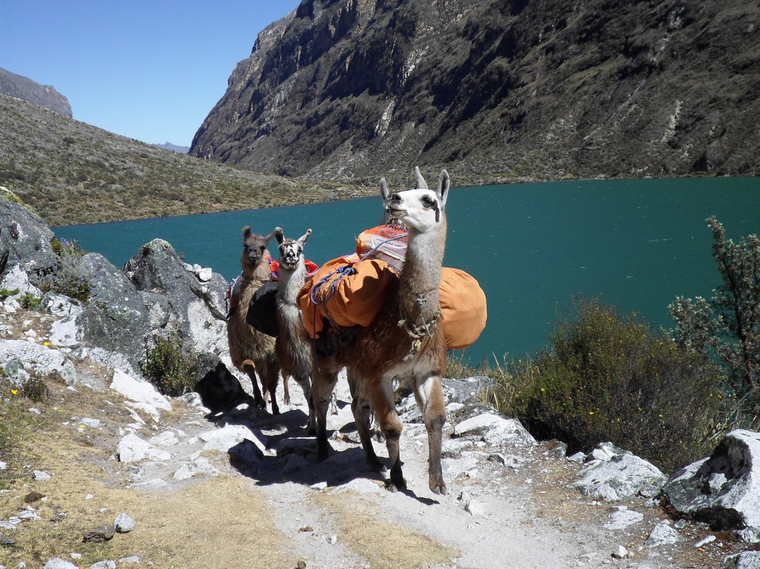 Andes X-Plorer-瓦拉斯必去景点