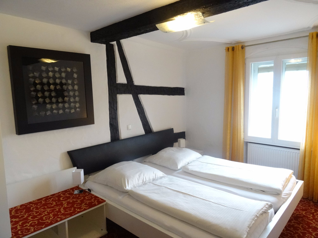 Hotel Zum Goldenen Anker主图