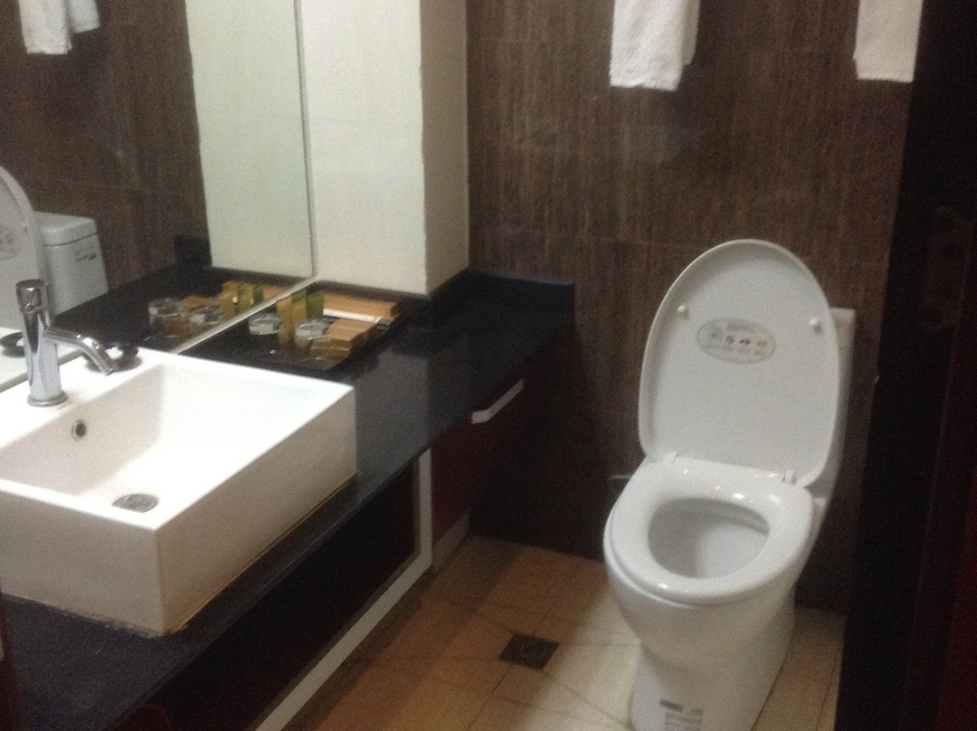 王庭大酒店主图