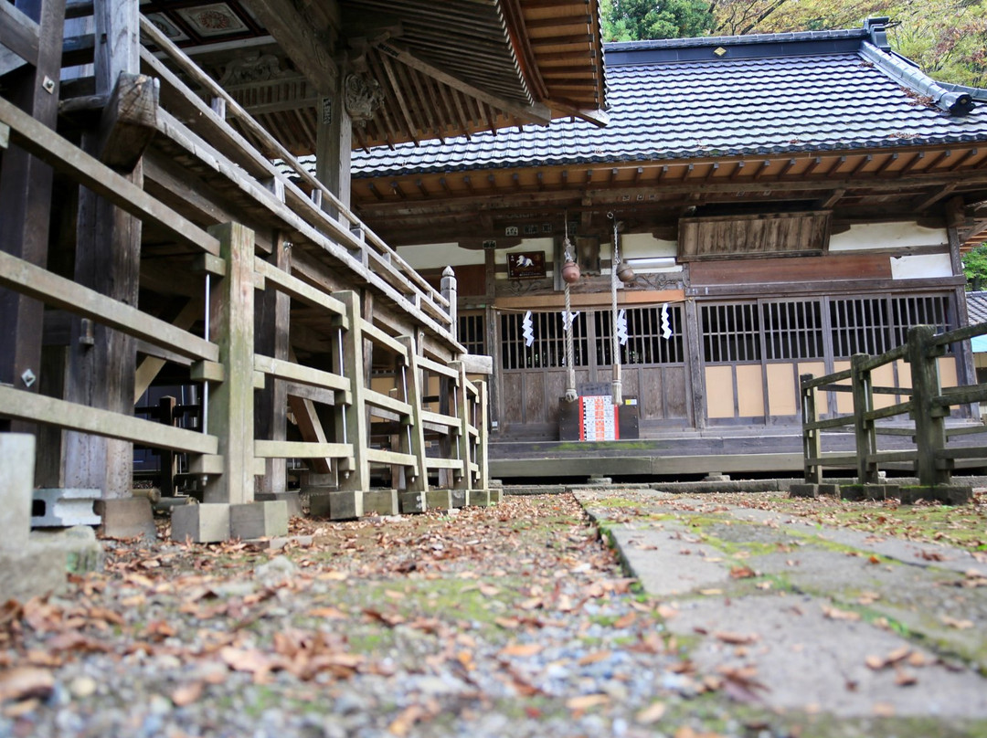 Zelkova Tree of Negoya Shrine-北斗市必去景点