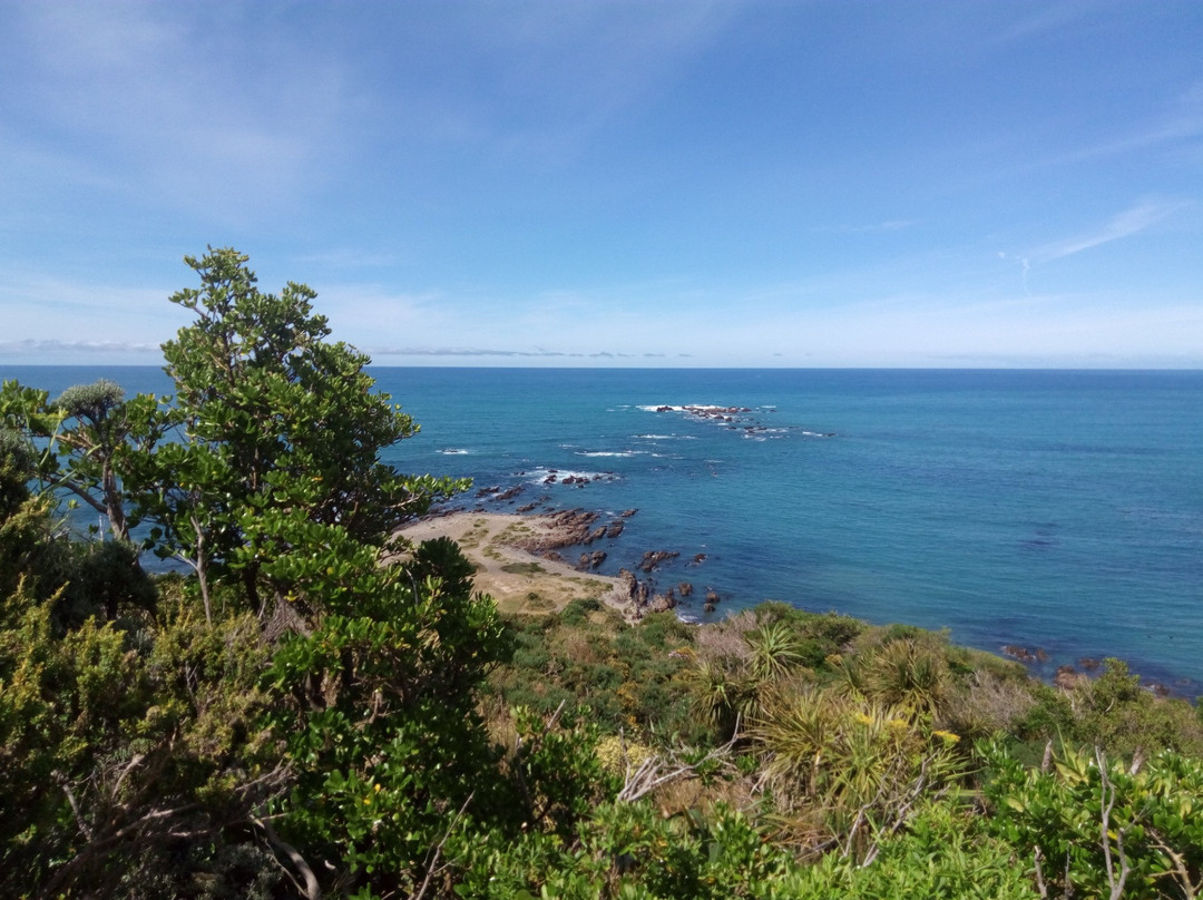 Tarakena Bay-惠灵顿必去景点