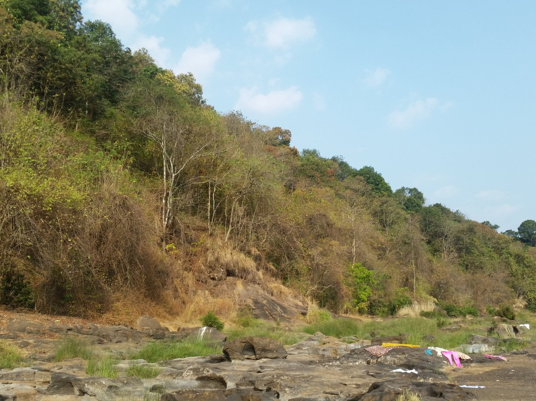 Perunthenaruvi Waterfall-Pathanamthitta必去景点