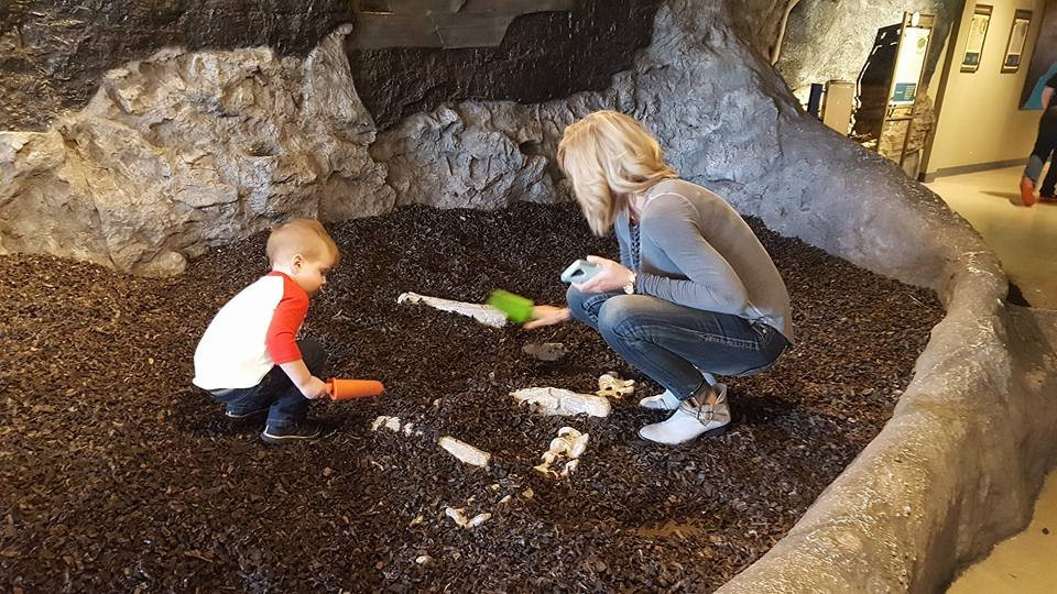 Discovery Center Of Springfield-斯普林菲尔德必去景点