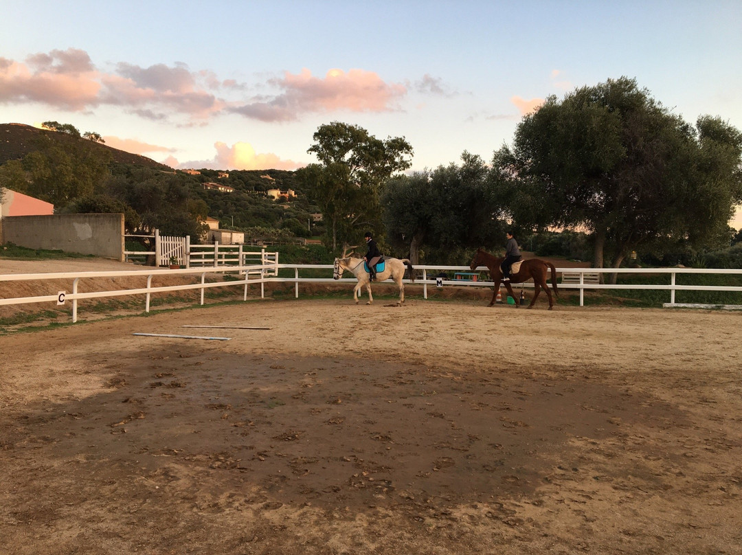 Officina Equestre-夸尔图－圣埃莱娜必去景点