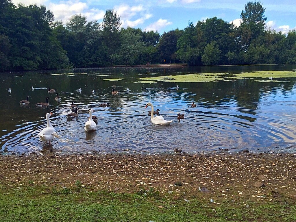 Westport Lake景点图片