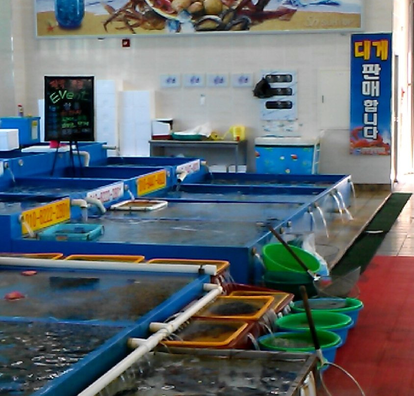 Donghae City Suhyup Seafood Distribution Center-东海市必去景点