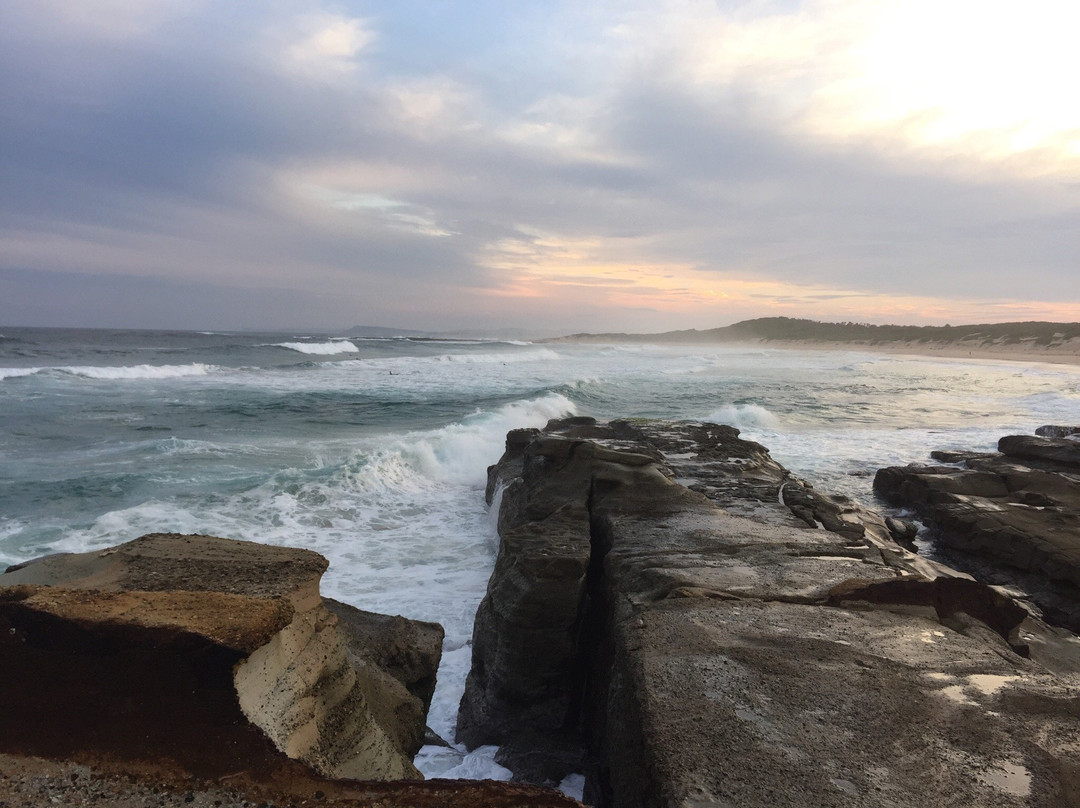 Magenta餐馆和美食-Soldiers Beach