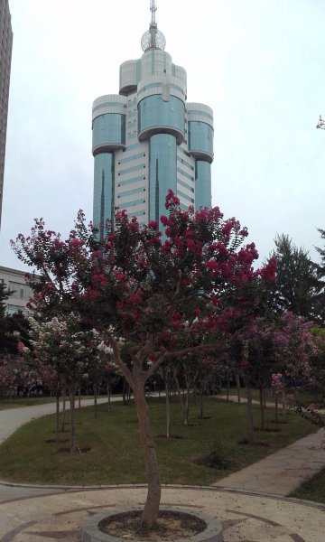 恒元大酒店-官方