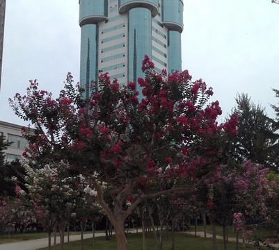 恒元大酒店主图