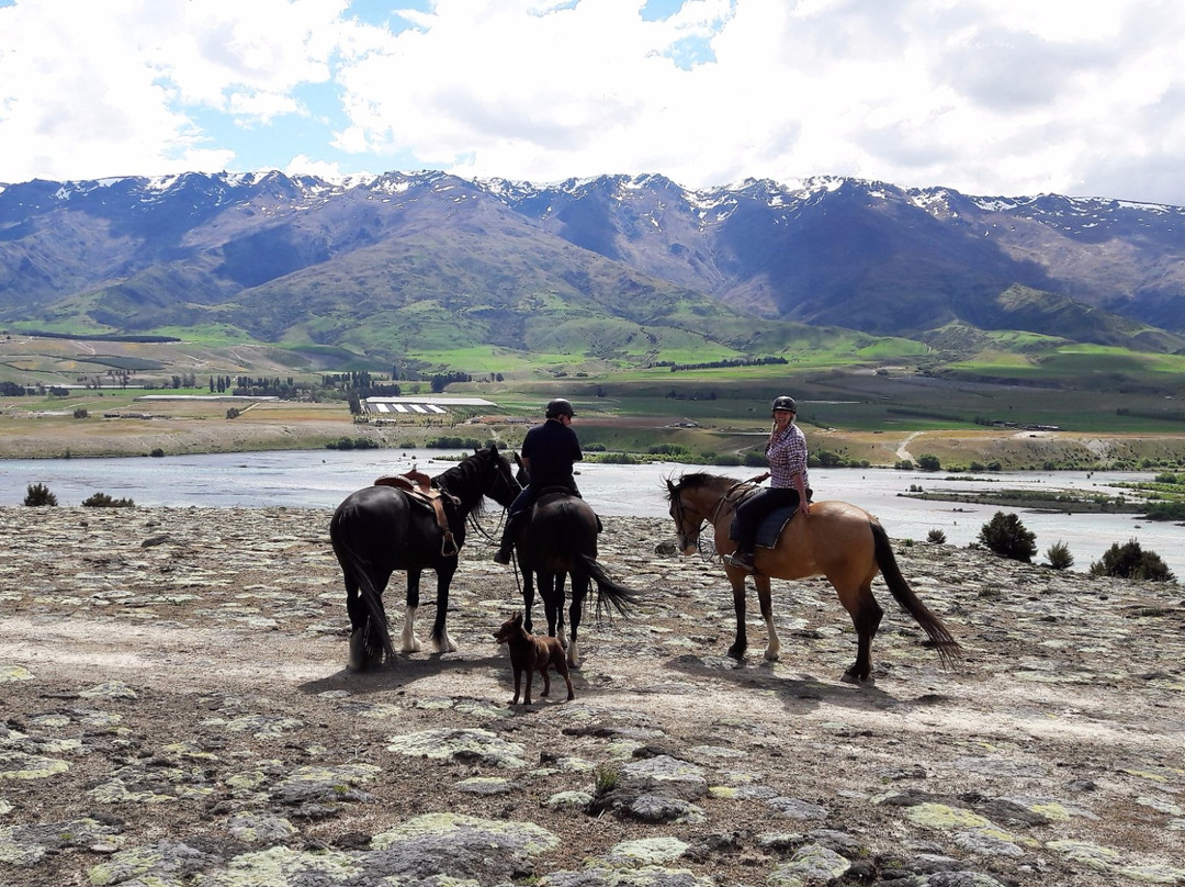 High Country Stables