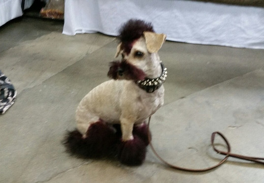 The International Centre-米西索加必去景点