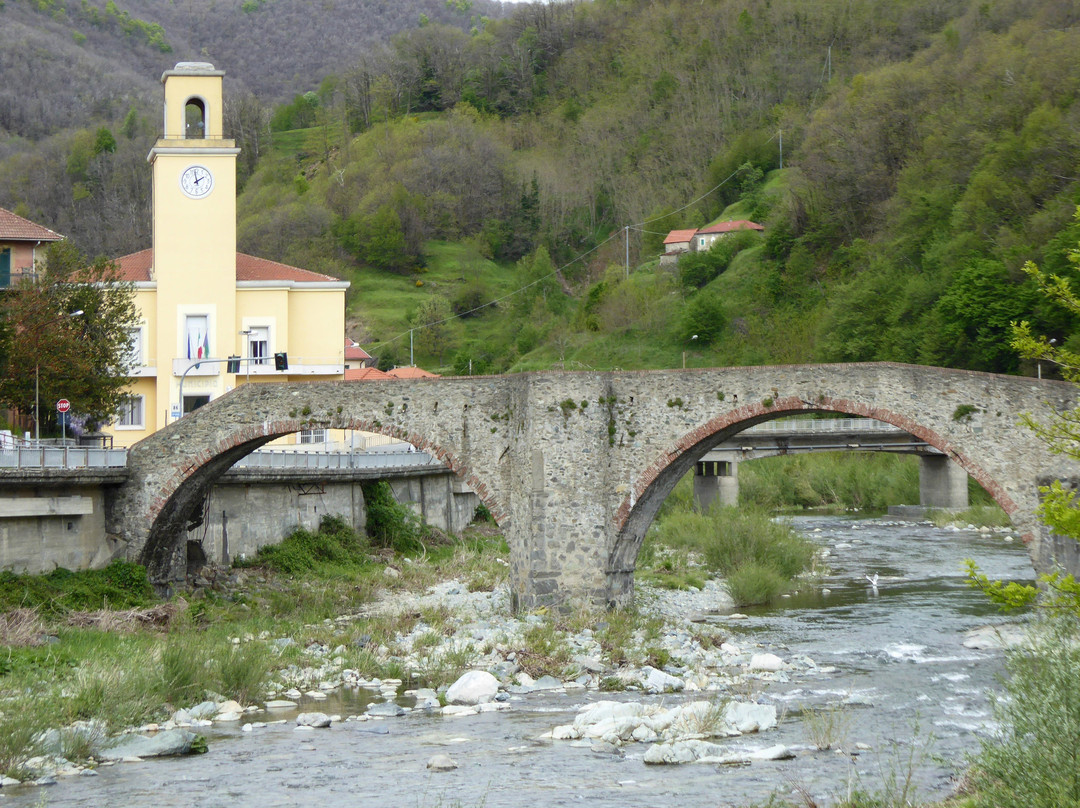 Ponte Medievale di San Michele (Ponte di Adalasia)景点图片